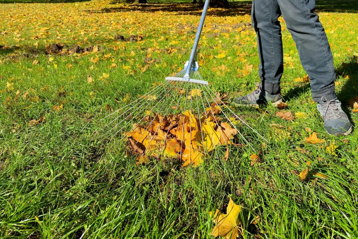 Sokkal szebb lesz tavasszal a gyep, ha szeptemberben megfelelően gondozzuk