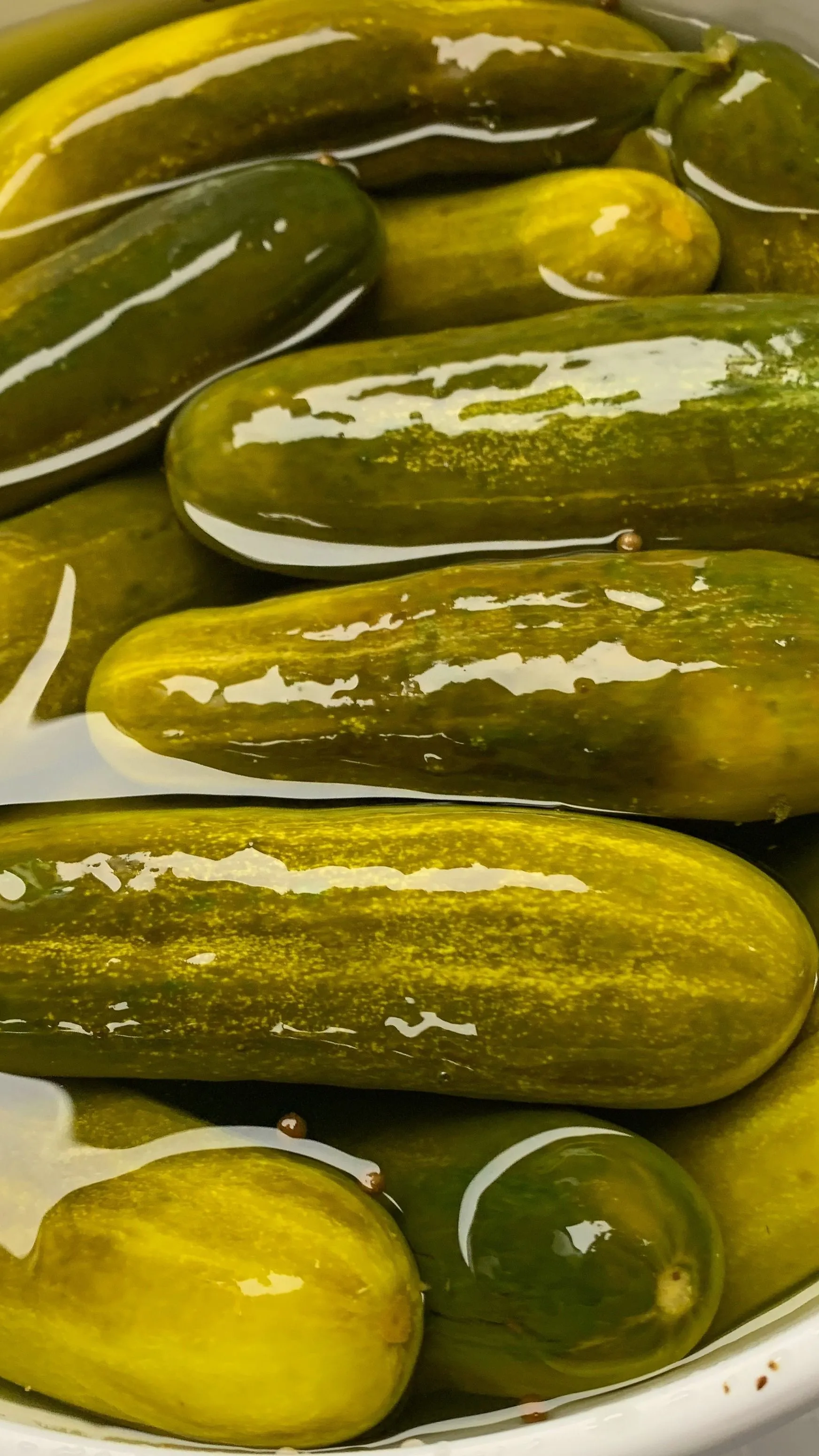Pickle in a Pouch